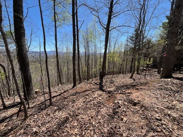 Lot 11 Longview Drive, Hayesville NC 28904 - Photo