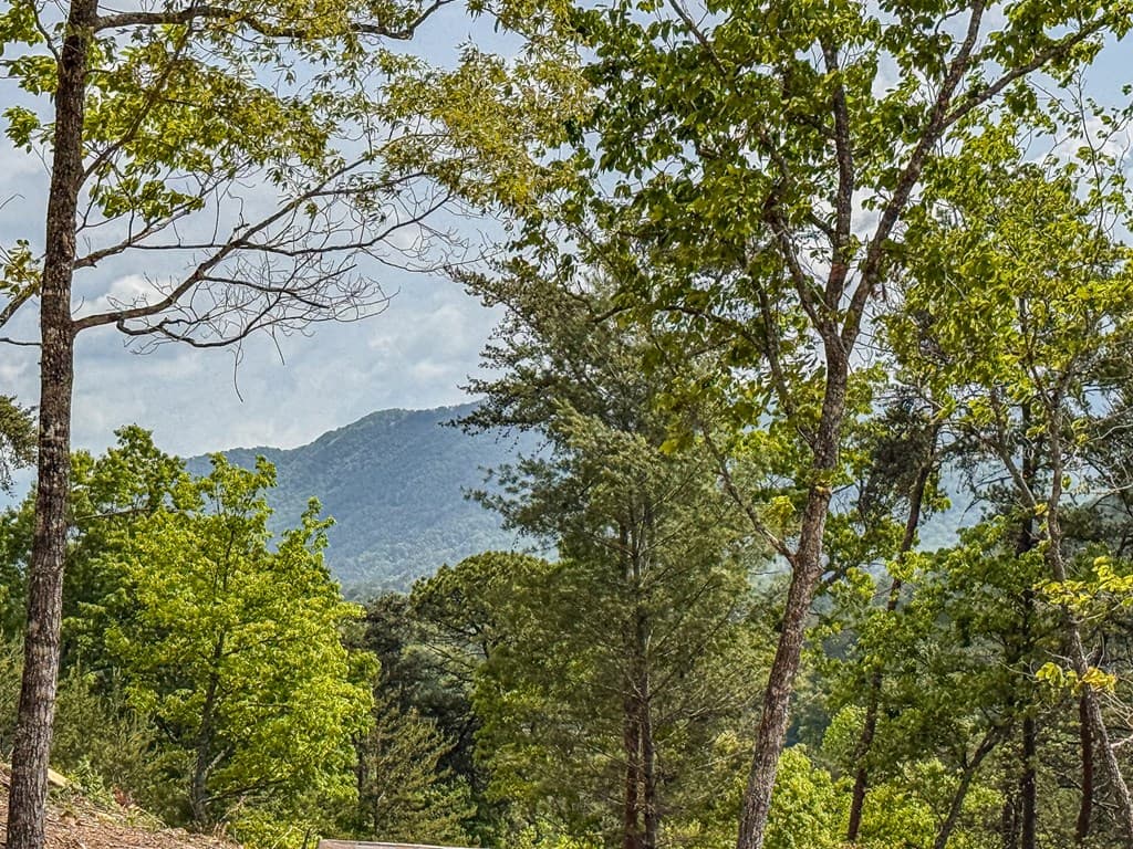 134 Mistletoe Ridge, Murphy NC 28906 - Photo