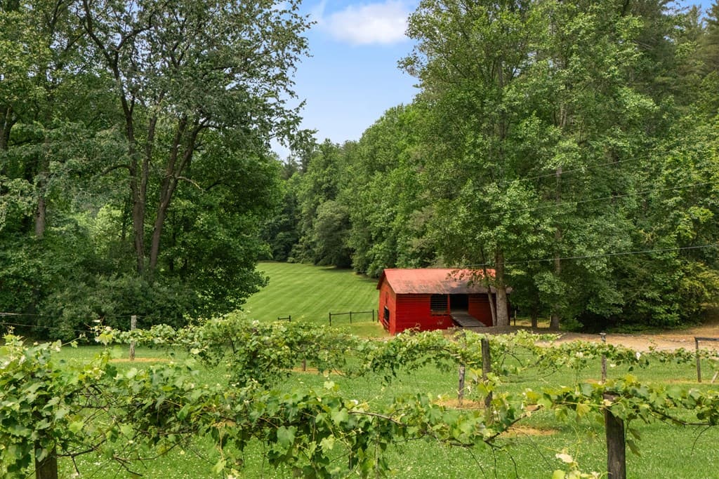 7320 Chestnut Valley Road, Hiawassee GA 30546 - Photo
