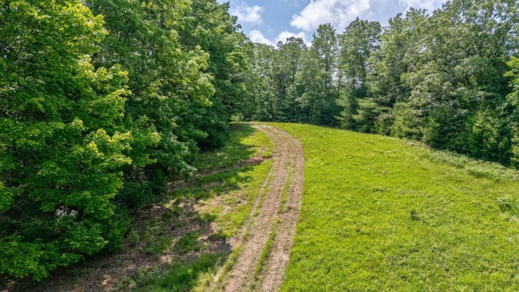 7320 Chestnut Valley Road, Hiawassee GA 30546 - Photo