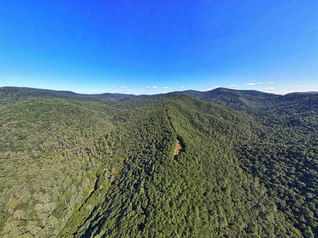 7320 Chestnut Valley Road, Hiawassee GA 30546 - Photo