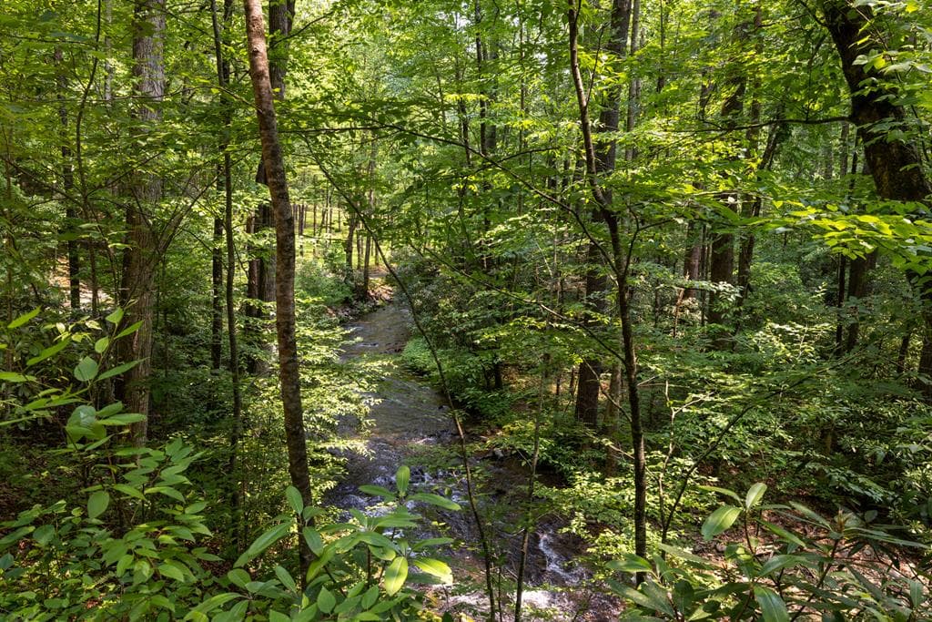 7320 Chestnut Valley Road, Hiawassee GA 30546 - Photo
