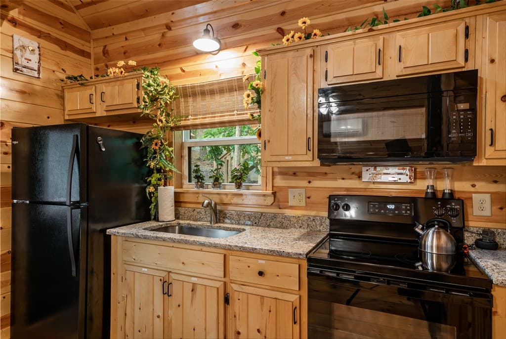 151 Rushmore Lane, Murphy NC 28906 - Photo