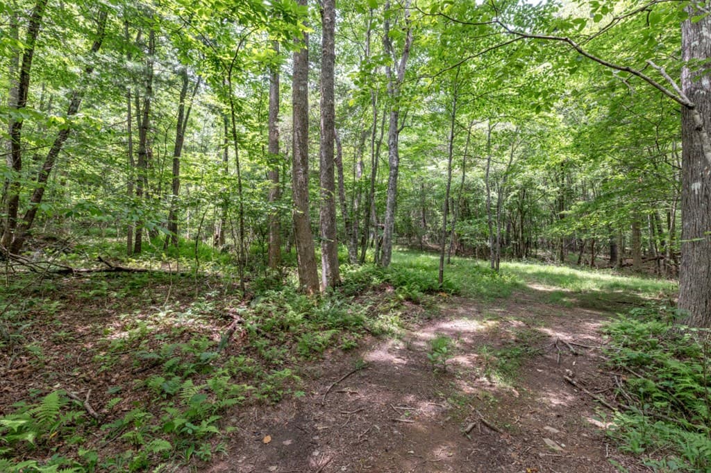 26.18 AC Green Road, Young Harris GA 30582 - Photo
