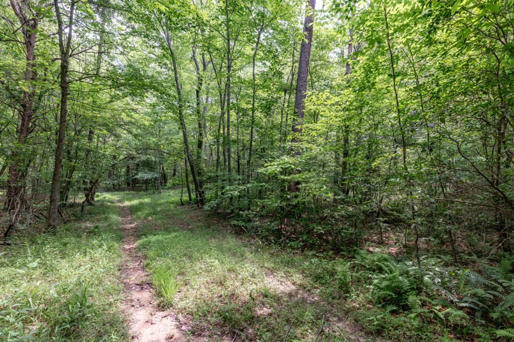26.18 AC Green Road, Young Harris GA 30582 - Photo