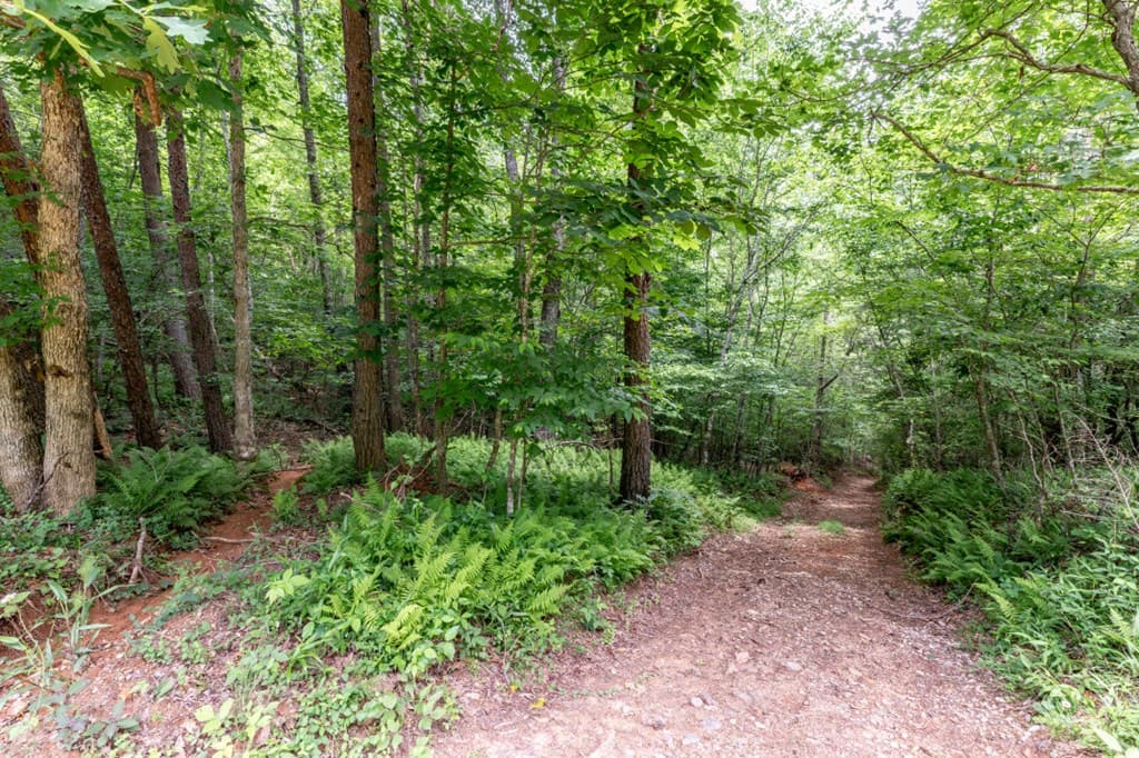 26.18 AC Green Road, Young Harris GA 30582 - Photo
