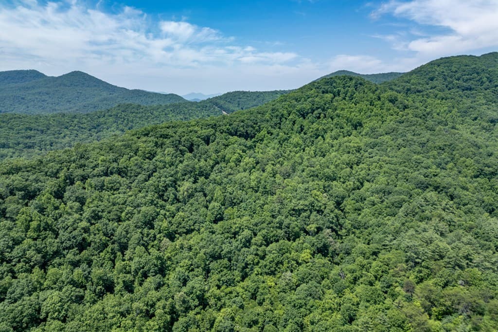 26.18 AC Green Road, Young Harris GA 30582 - Photo