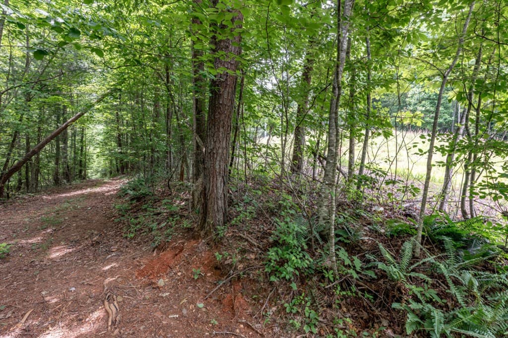 26.18 AC Green Road, Young Harris GA 30582 - Photo