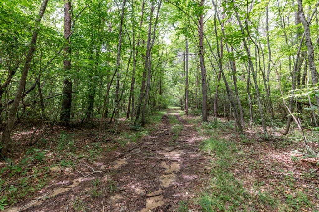 26.18 AC Green Road, Young Harris GA 30582 - Photo