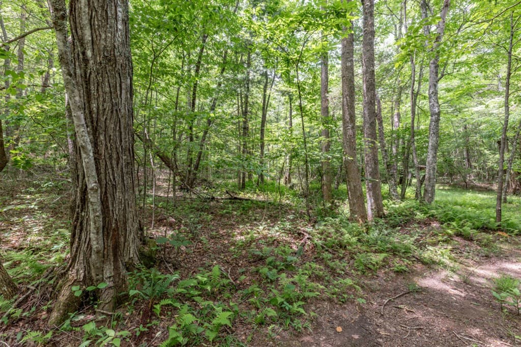 26.18 AC Green Road, Young Harris GA 30582 - Photo