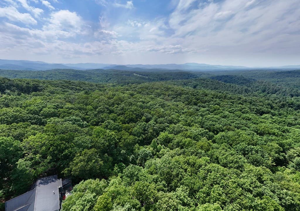 201 Jaguar Lane, Blue Ridge GA 30513 - Photo