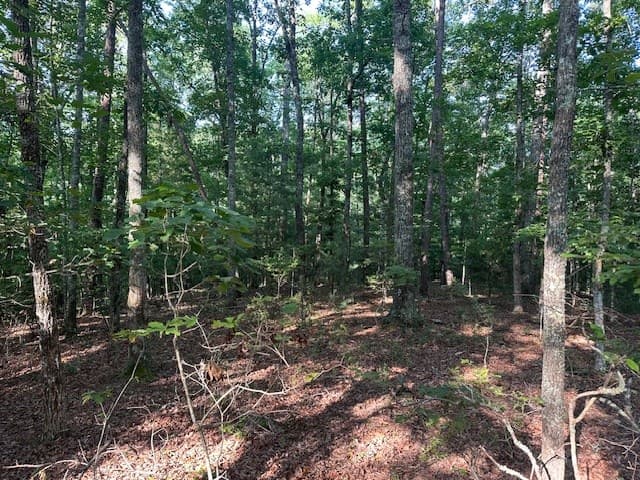 Lot 208 Boulder Creek Road, Murphy NC 28906 - Photo