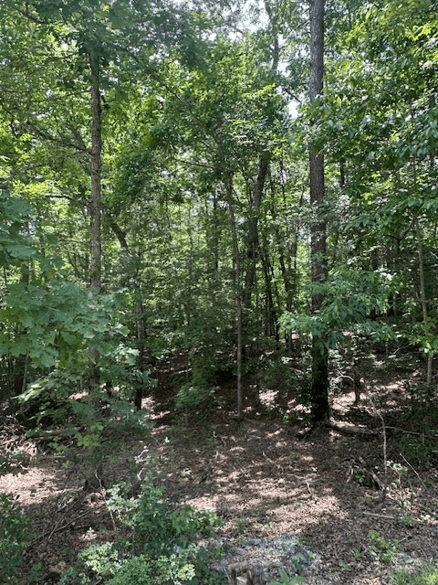 Lot 208 Boulder Creek Road, Murphy NC 28906 - Photo
