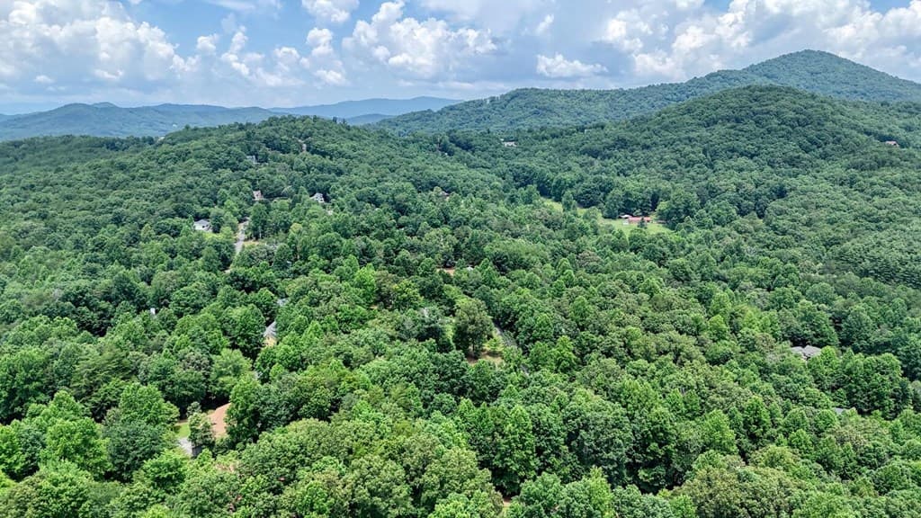2087 Woodlake Lane, Young Harris GA 30582 - Photo