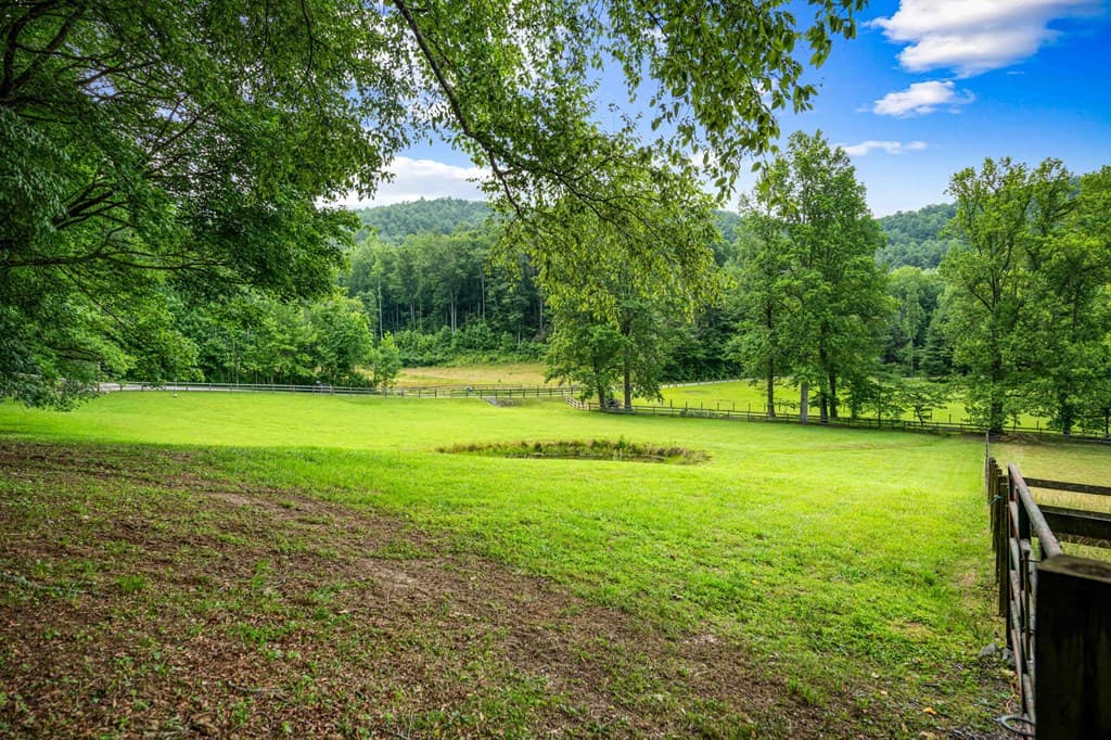 225 Cohutta Ranch Road, Blue Ridge GA 30513 - Photo