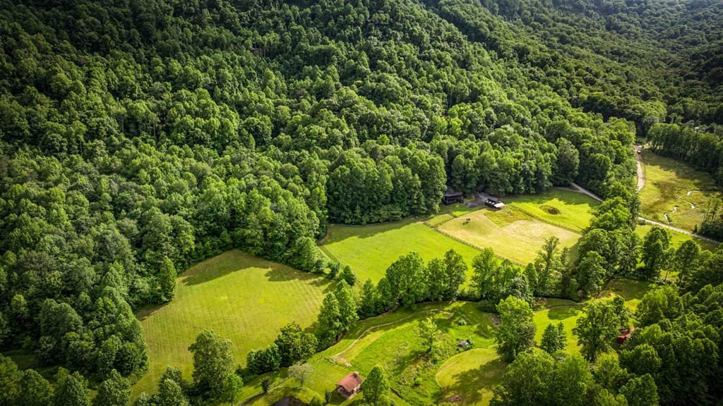 225 Cohutta Ranch Road, Blue Ridge GA 30513 - Photo
