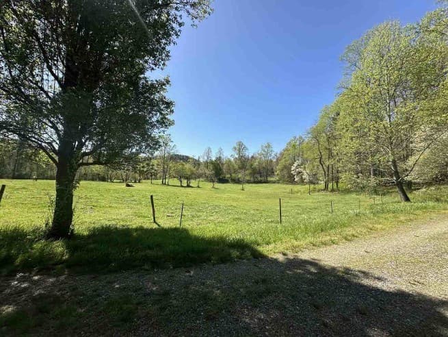 141 Doc Roof Road, Mineral Bluff GA 30559 - Photo