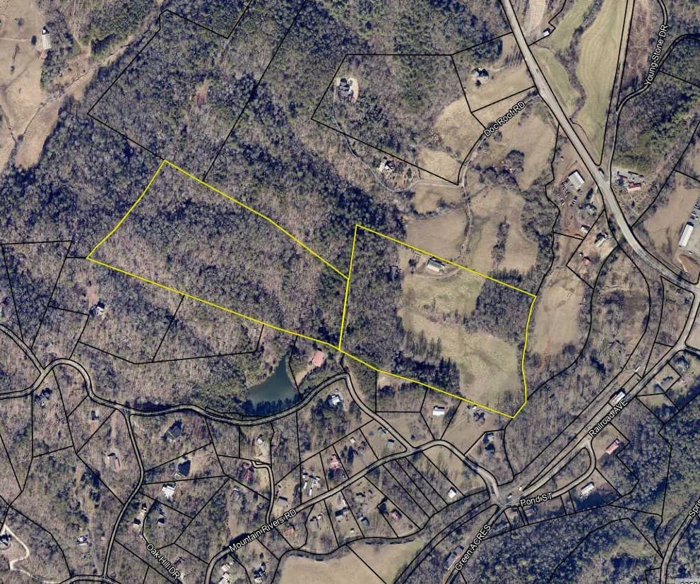 141 Doc Roof Road, Mineral Bluff GA 30559 - Photo