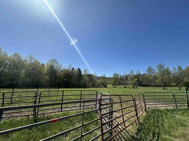141 Doc Roof Road, Mineral Bluff GA 30559 - Photo