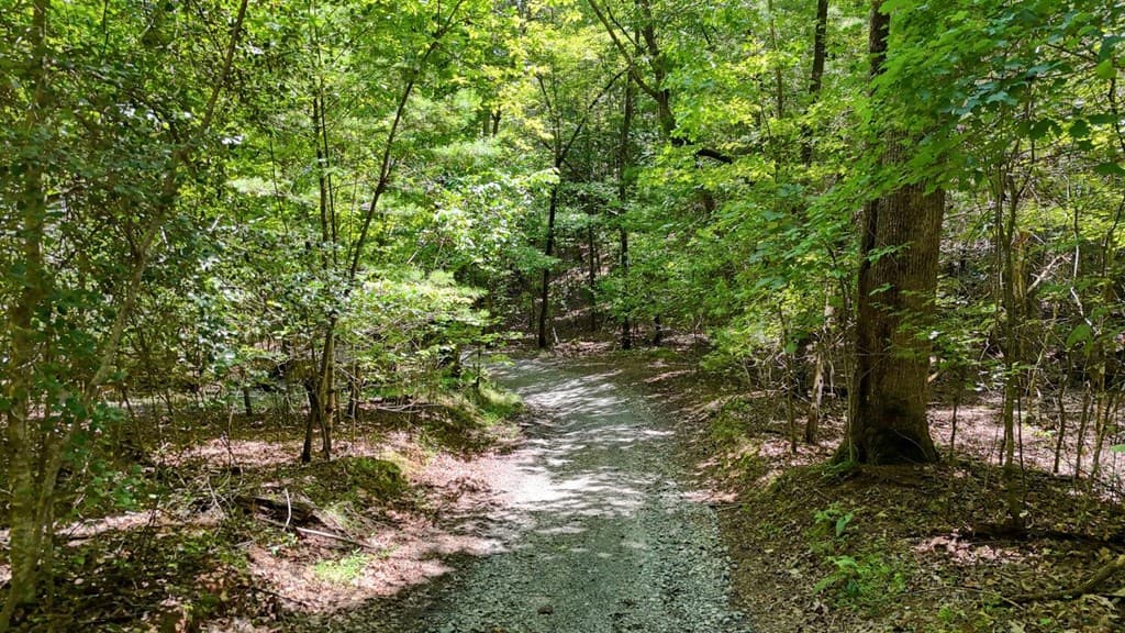 243 Chattahoochee Acres, Cleveland GA 30528 - Photo