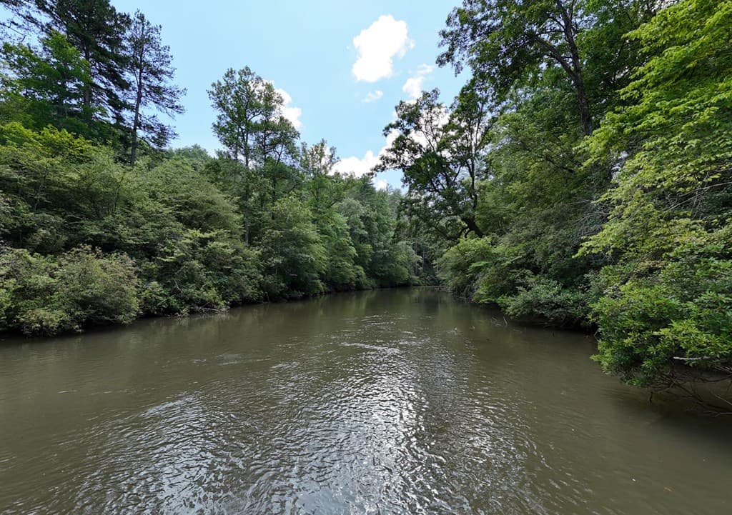 243 Chattahoochee Acres, Cleveland GA 30528 - Photo