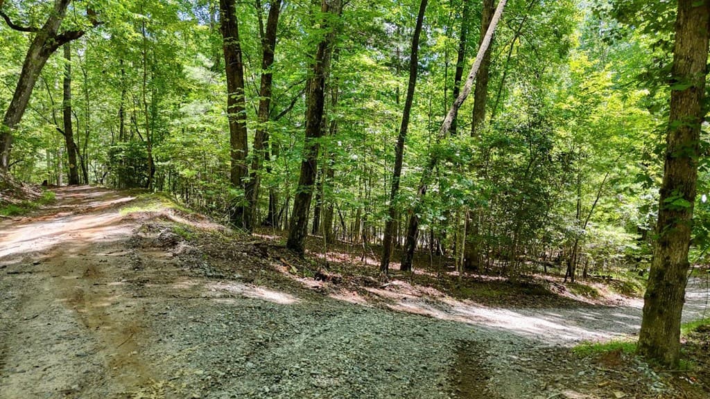 243 Chattahoochee Acres, Cleveland GA 30528 - Photo