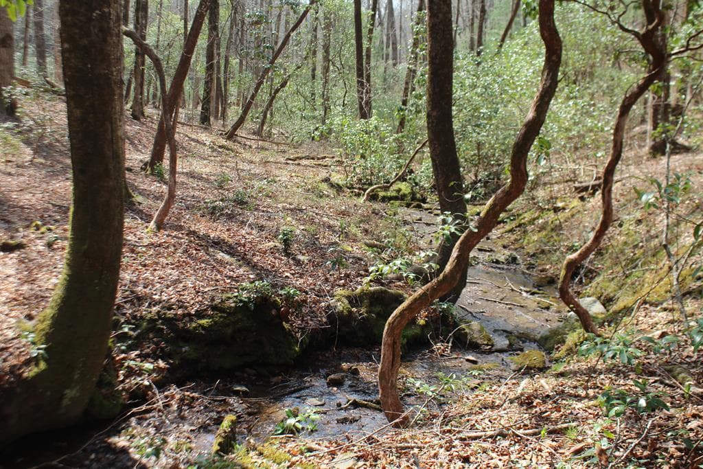 Lot 25 N Shelton Springs Drive, Hayesville NC 28904 - Photo