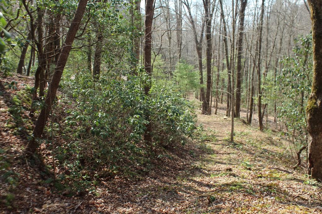 Lot 25 N Shelton Springs Drive, Hayesville NC 28904 - Photo