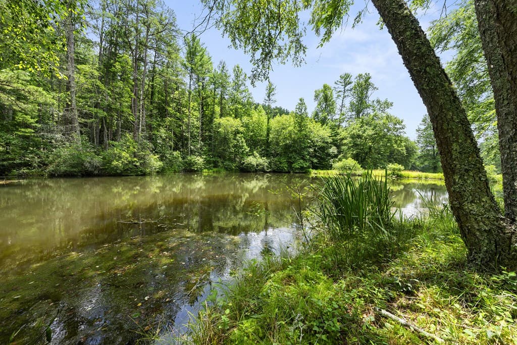 9883 Warwoman Road, Clayton GA 30525 - Photo