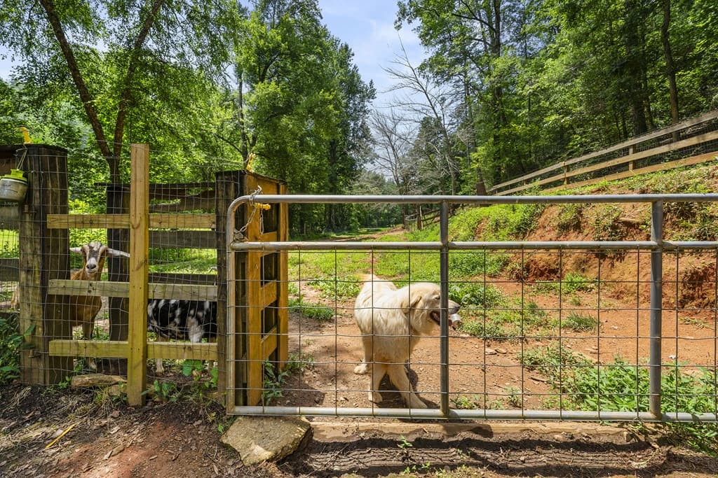 9883 Warwoman Road, Clayton GA 30525 - Photo