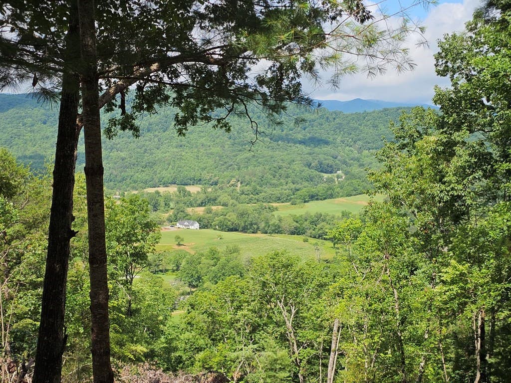 17 Buckhead Hills, Hiawassee GA 30546 - Photo