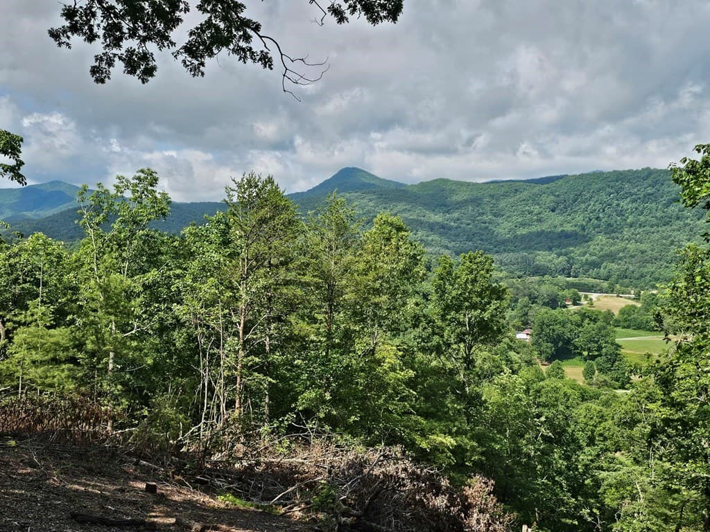 17 Buckhead Hills, Hiawassee GA 30546 - Photo