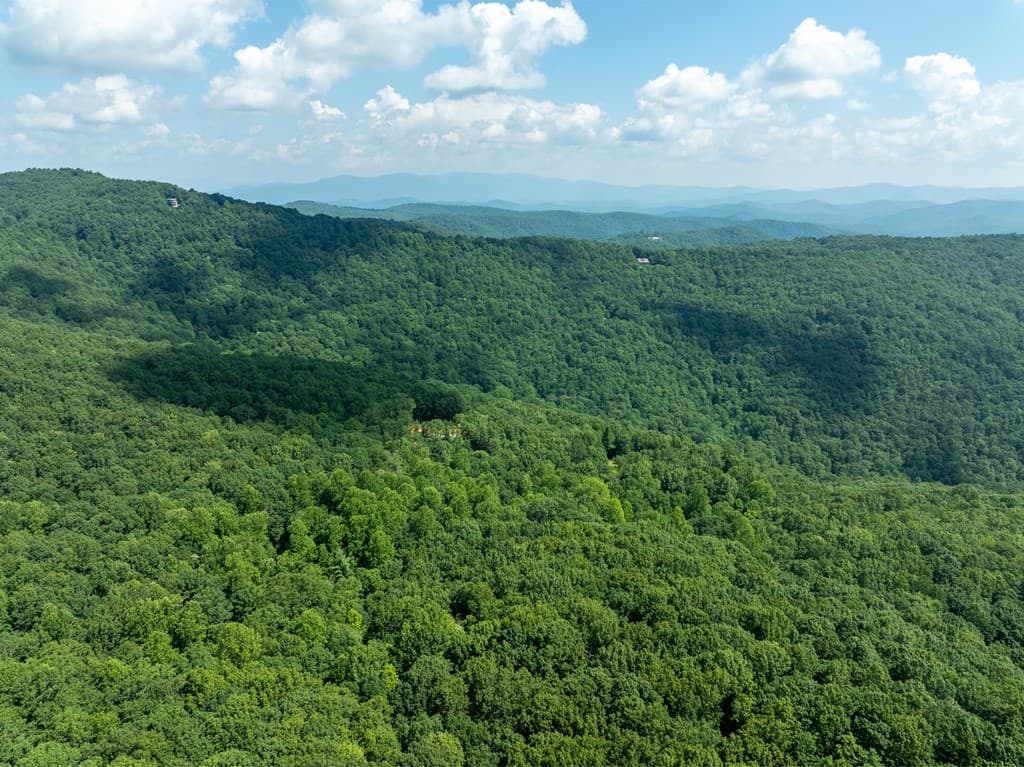 1298 Cold Stream Trail, Jasper GA 30143 - Photo