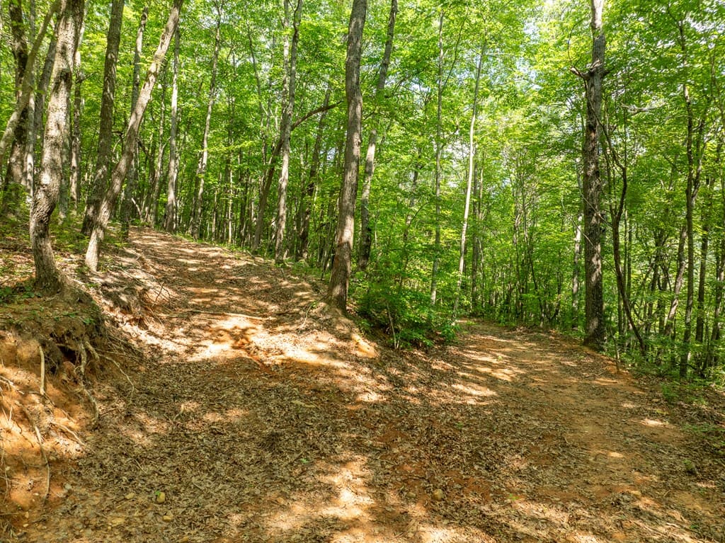 1298 Cold Stream Trail, Jasper GA 30143 - Photo