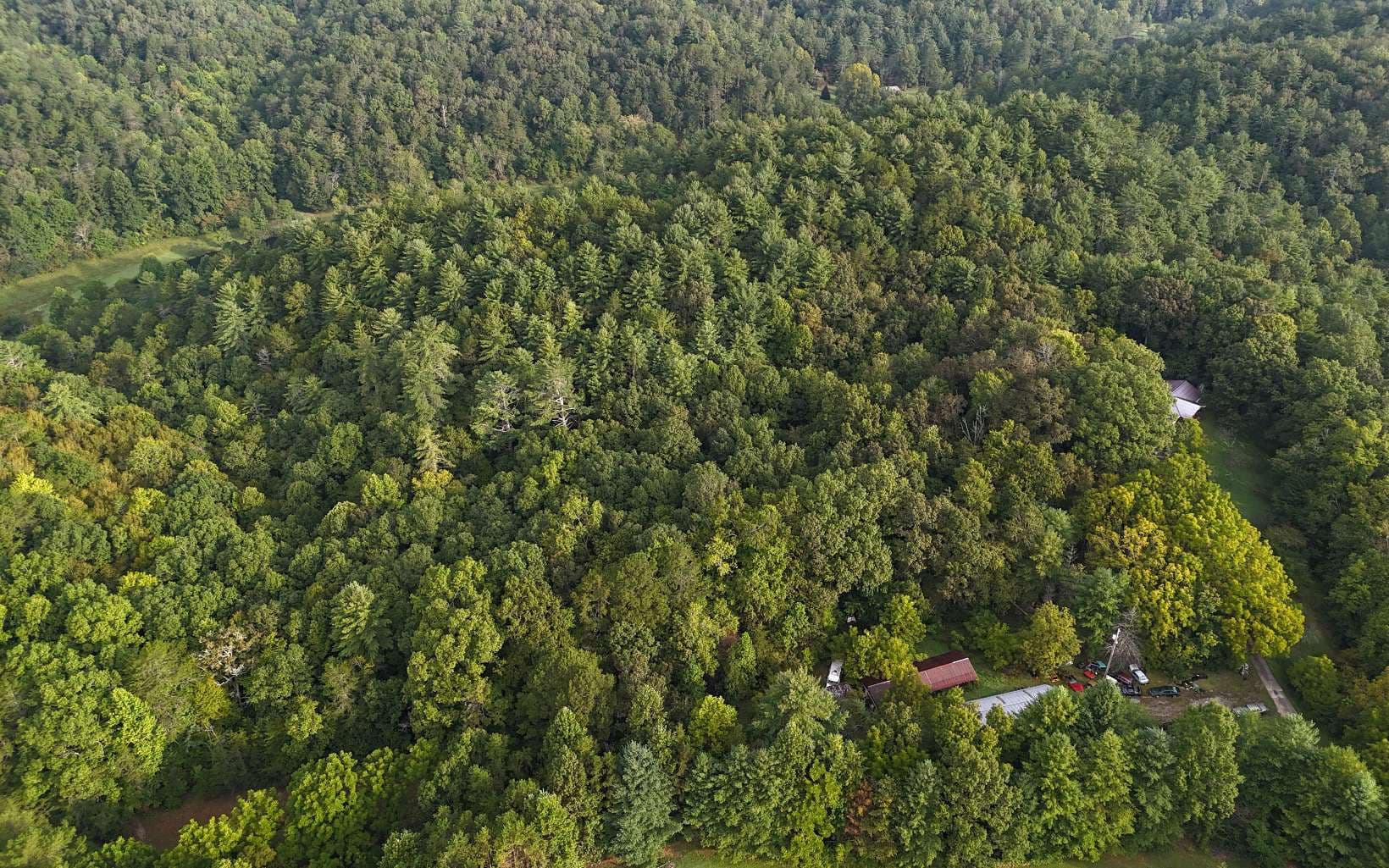 LOT 8 Murphy Lane, Mineral Bluff GA 30559 - Photo
