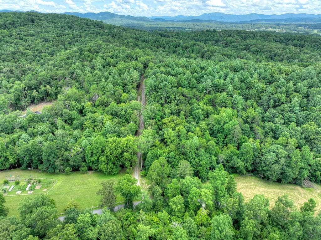 1696 Rocky Top Road, Blairsville GA 30512 - Photo