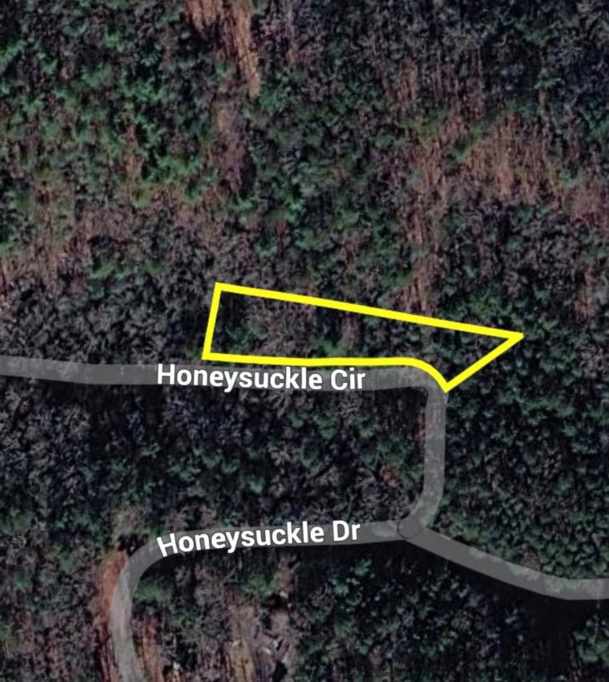1696 Rocky Top Road, Blairsville GA 30512 - Photo