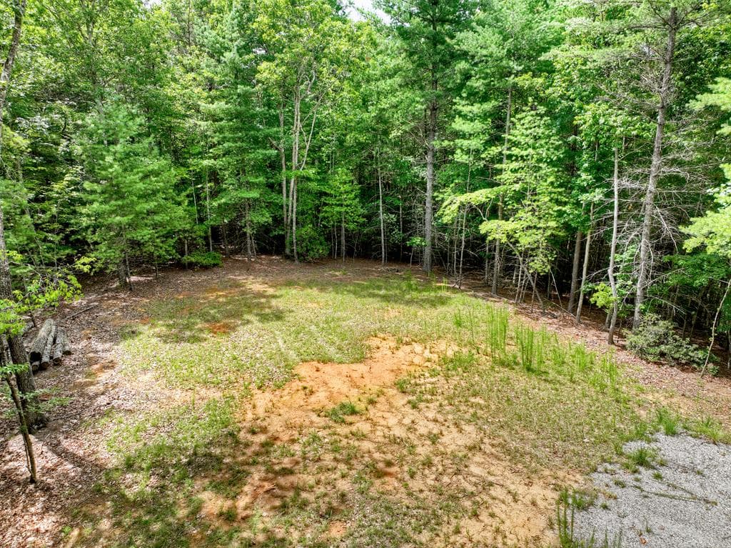 1696 Rocky Top Road, Blairsville GA 30512 - Photo