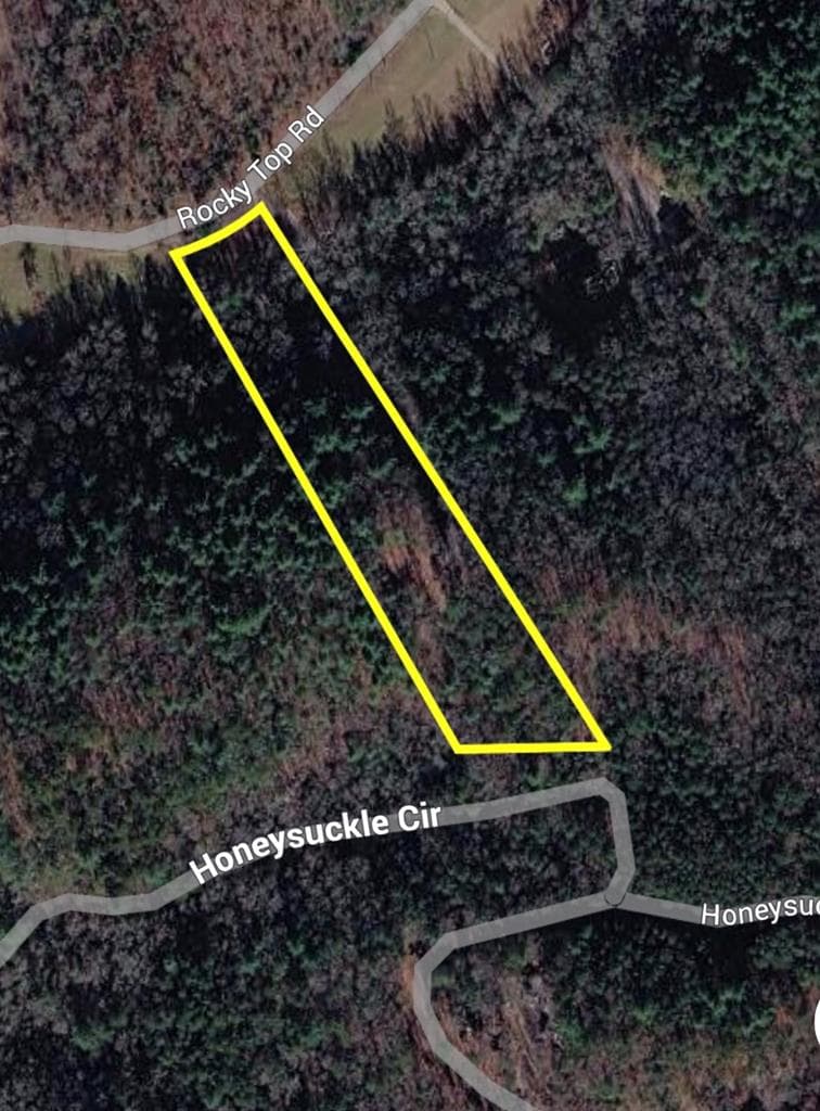 1696 Rocky Top Road, Blairsville GA 30512 - Photo