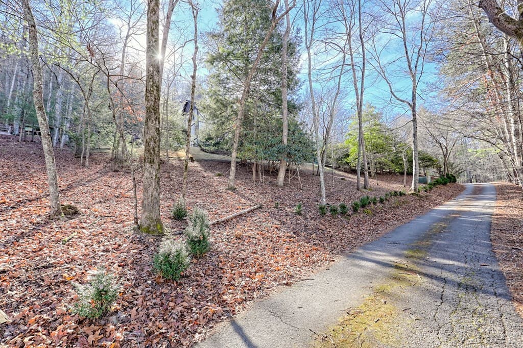 251 Quail Cove Lane, Brasstown NC 28902 - Photo
