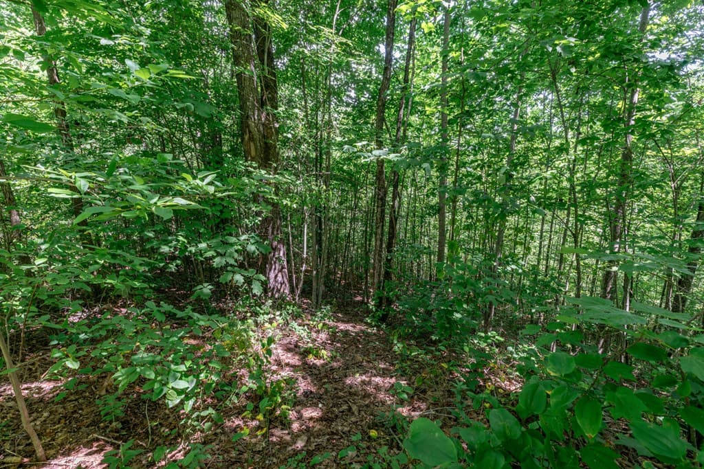 Lot 111C Puett Cove Estates, Marble NC 28905 - Photo
