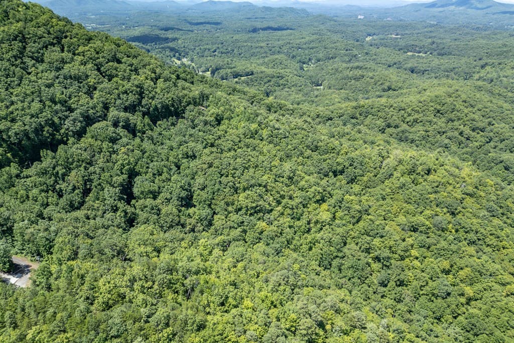 Lot 111C Puett Cove Estates, Marble NC 28905 - Photo