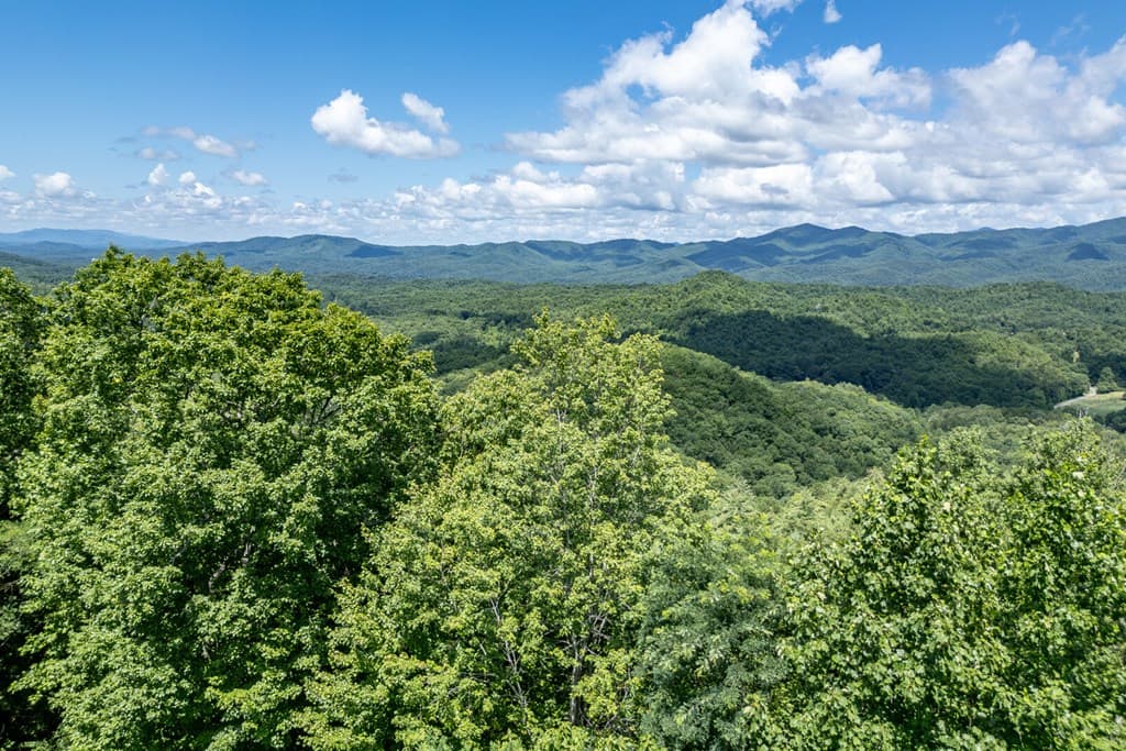 Lot 111C Puett Cove Estates, Marble NC 28905 - Photo