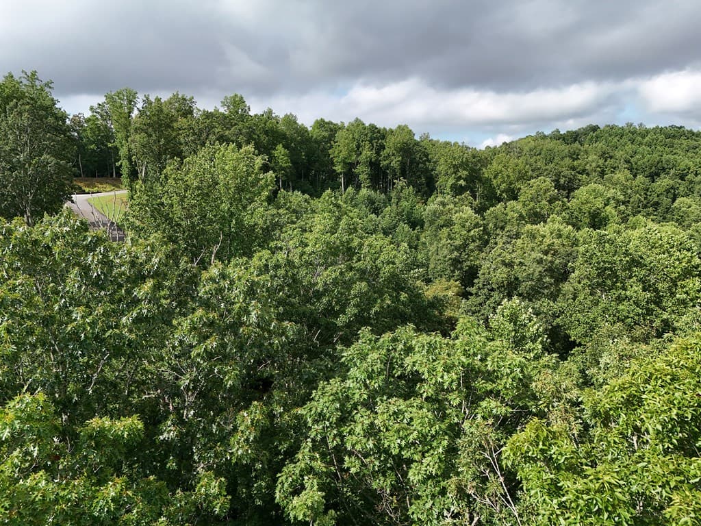 Lot 100 Valley Crest Drive, Blairsville GA 30512 - Photo