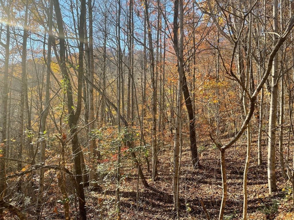 Lot 41C Ash Branch Circle, Hayesville NC 28904 - Photo