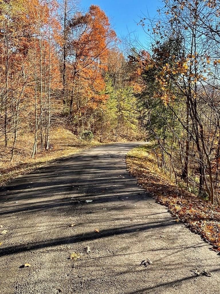 Lot 41C Ash Branch Circle, Hayesville NC 28904 - Photo