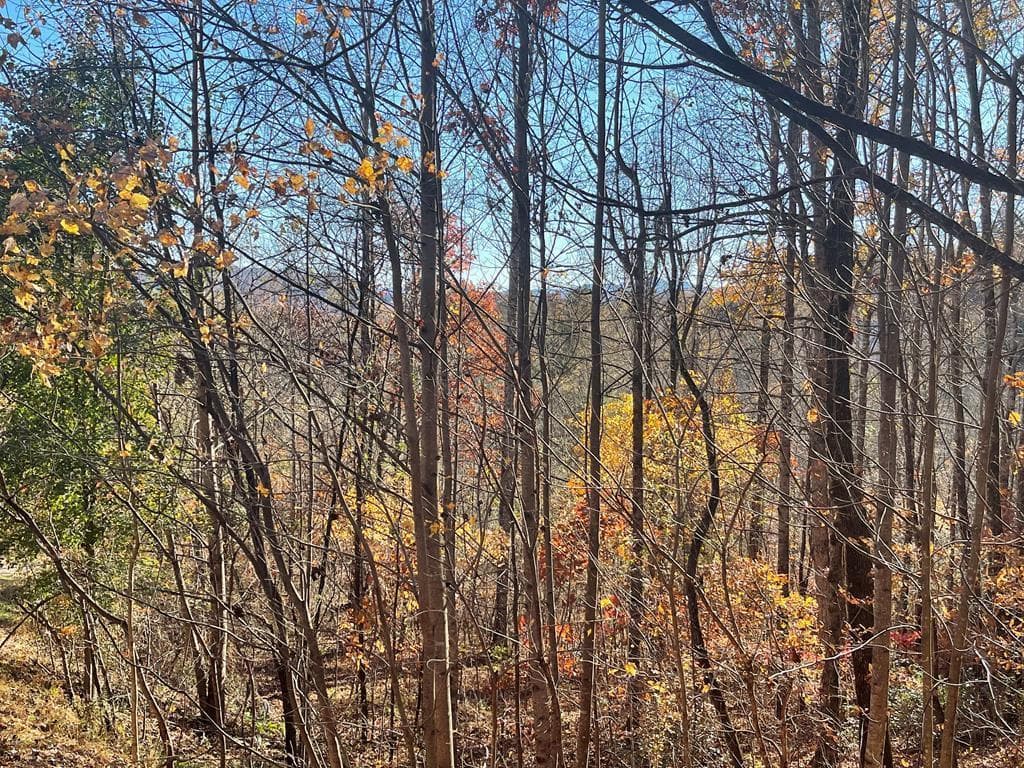 Lot 41C Ash Branch Circle, Hayesville NC 28904 - Primary photo