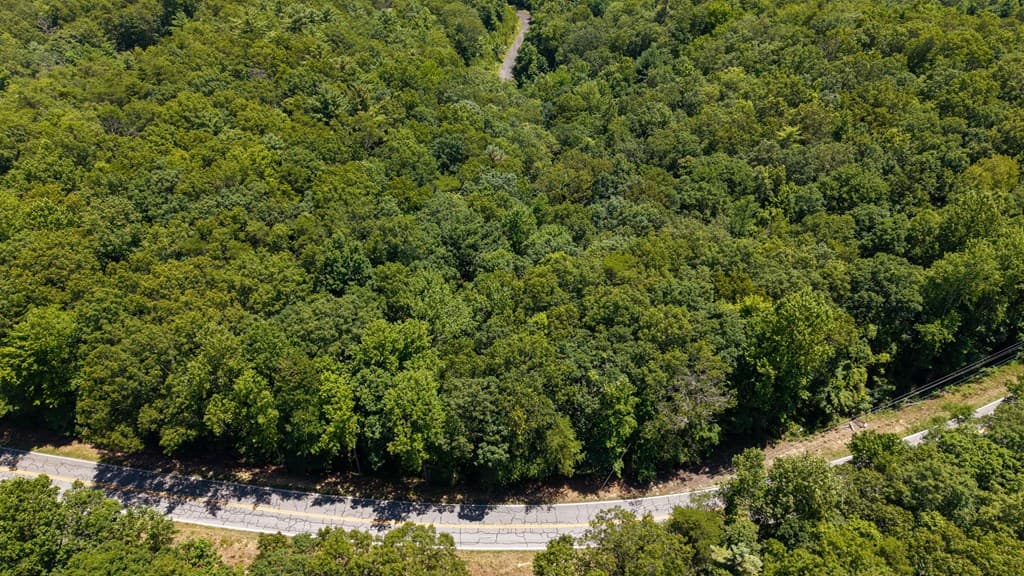 0 Highway 52, Chatsworth GA 30705 - Photo