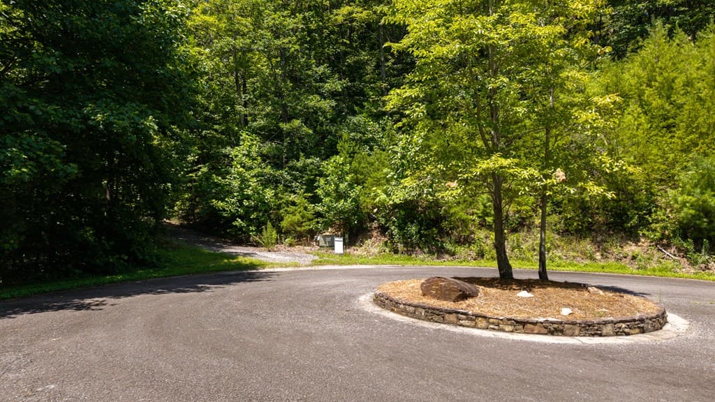 0 Highway 52, Chatsworth GA 30705 - Photo