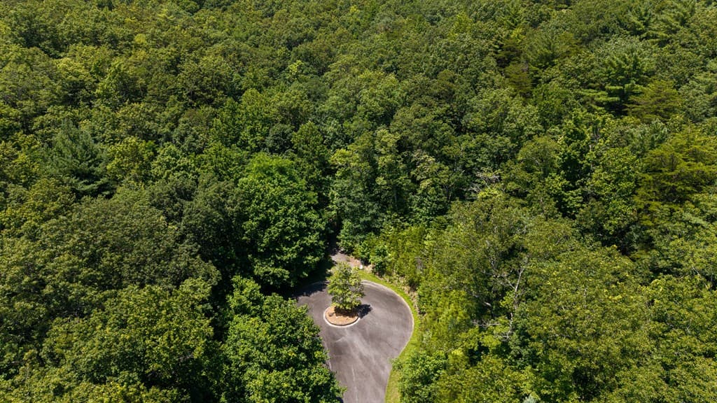 0 Highway 52, Chatsworth GA 30705 - Photo